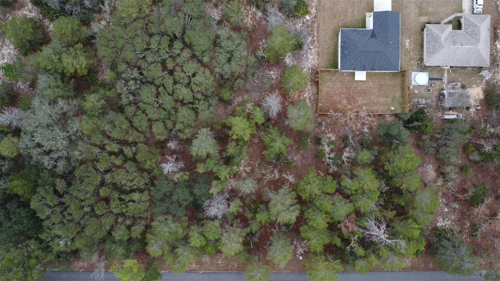 MALAUKA DRIVE, OCKLAWAHA, FL — photo 5 of 9
