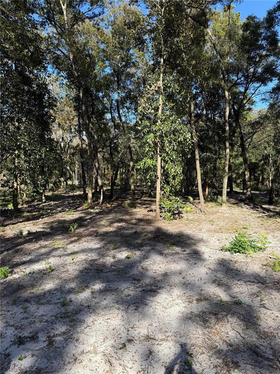 7TH PLACE, OCALA, FL — photo 2 of 7