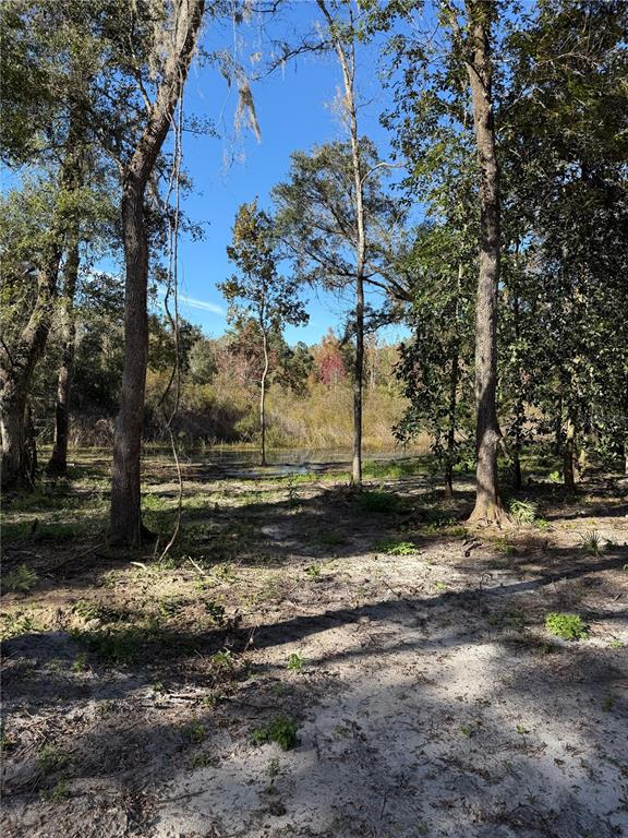 7TH PLACE, OCALA, FL — photo 3 of 7