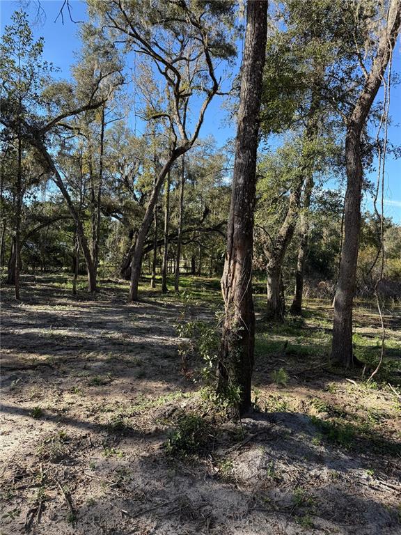 7TH PLACE, OCALA, FL — photo 4 of 7