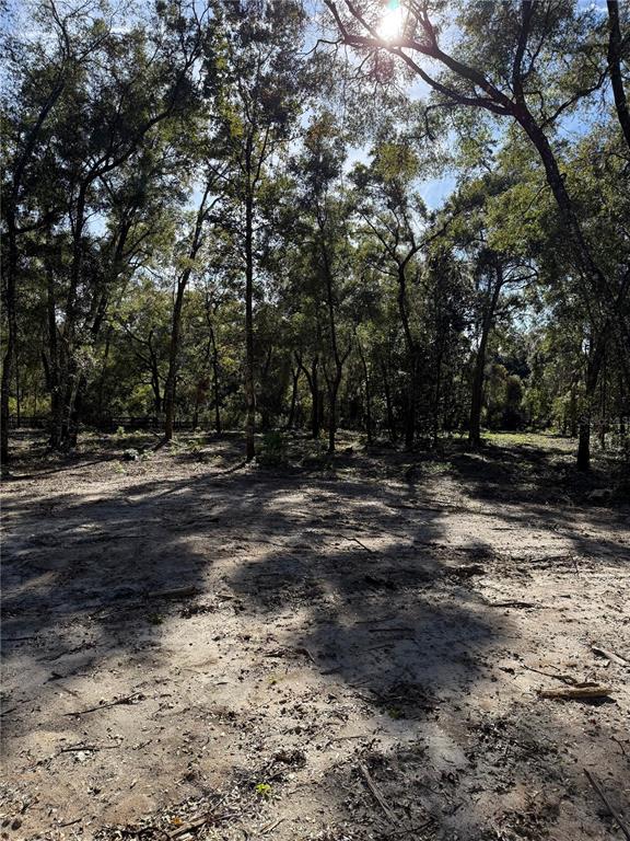 7TH PLACE, OCALA, FL — photo 5 of 7
