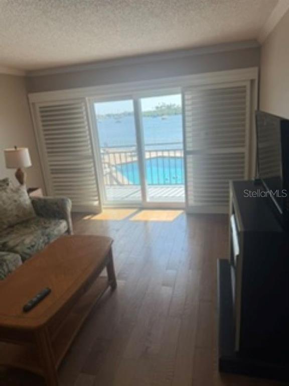 A living room with wood flooring, a sofa, and sliding doors overlooking a pool and water — 101 N RIVERSIDE DRIVE UNIT 2020, NEW SMYRNA BEACH, FL