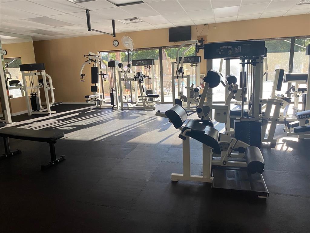 A gym room features various weight machines, a black rubber floor, and large windows — 2656 SW 20TH CIRCLE, OCALA, FL