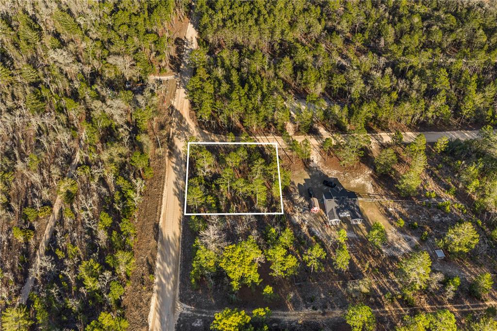 000 ROSE STREET, INTERLACHEN, FL — photo 2 of 11