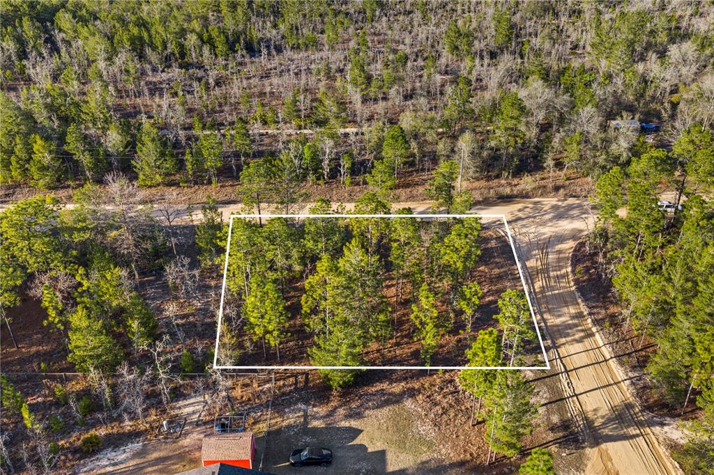 000 ROSE STREET, INTERLACHEN, FL — photo 5 of 11
