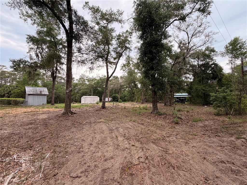 A dirt lot with several mature trees and two small storage sheds in the background — 117 BREEZY OAK LANE, FORT MC COY, FL