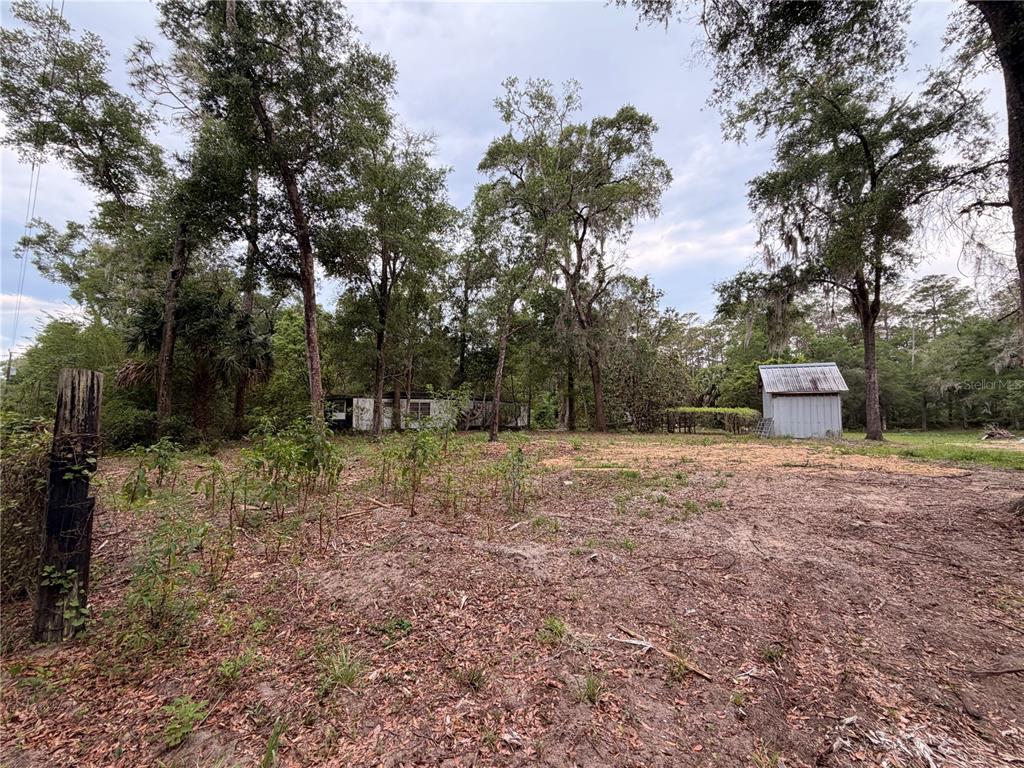 A cleared lot features a small shed and a mobile home surrounded by tall trees — 117 BREEZY OAK LANE, FORT MC COY, FL