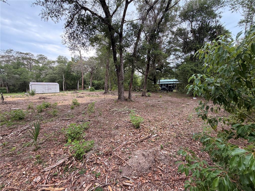 A large, wooded lot features a small shed and scattered vegetation under a cloudy sky — 117 BREEZY OAK LANE, FORT MC COY, FL