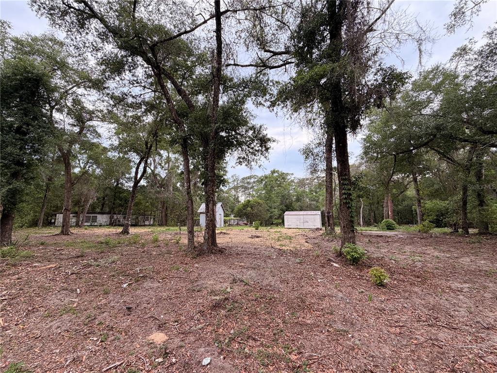 A wooded lot features a mobile home, two small sheds, and scattered trees — 117 BREEZY OAK LANE, FORT MC COY, FL