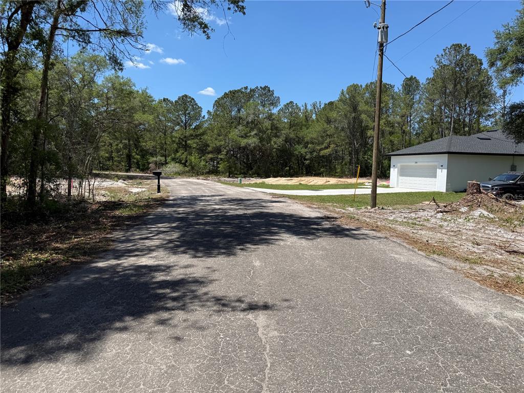 A paved road leads toward a wooded area next to a white garage — FISCHER LANE COURT, OCKLAWAHA, FL