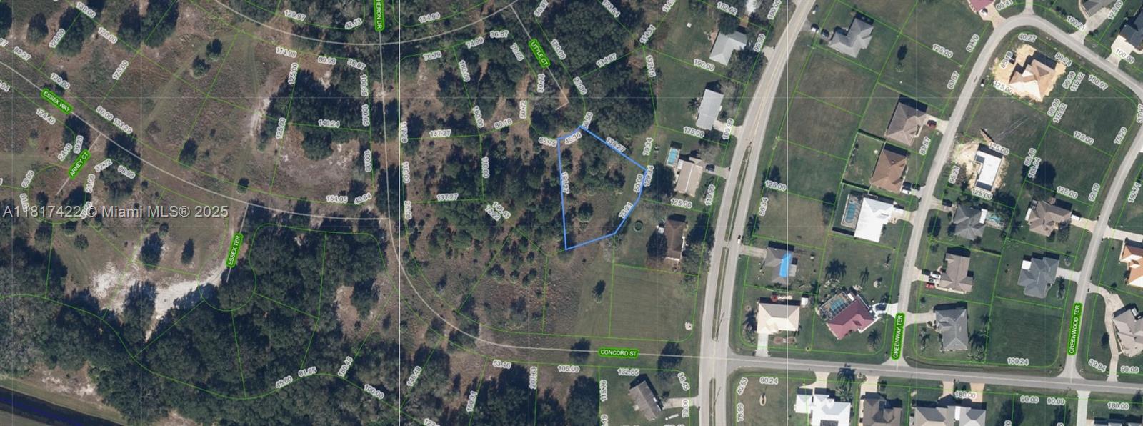 This is an aerial map showing a vacant lot highlighted in blue within a neighborhood — 1001 Little CT, Sebring FL 33876, SEBRING, FL