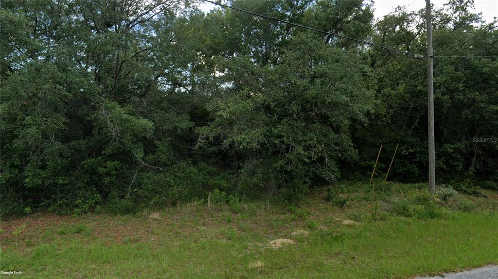 A view of a wooded lot with a utility pole and power lines — 10632 N SKYLARK TERRACE, CITRUS SPRINGS, FL