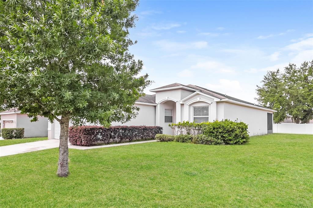 A single-story house with a light-colored exterior, a front lawn, and a large tree — 8130 WOODVINE CIRCLE, LAKELAND, FL