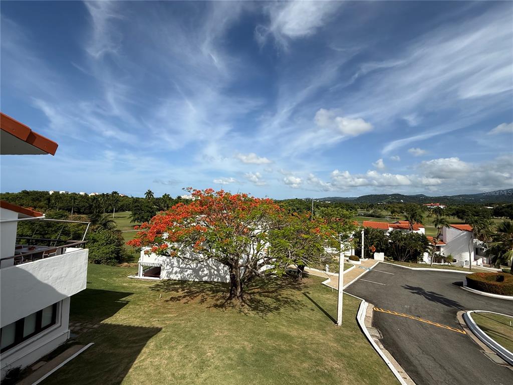 An elevated view shows a flowering tree, a paved road, and buildings under a blue sky — Cluster 2 6000 RIO MAR BOULEVARD UNIT 5D, RIO GRANDE, PR