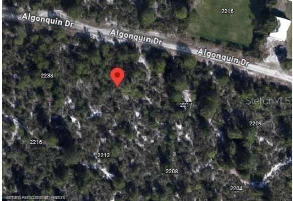 This is an aerial map view of a wooded residential lot along Algonquin Drive — 2225 ALGONQUIN DRIVE, SEBRING, FL