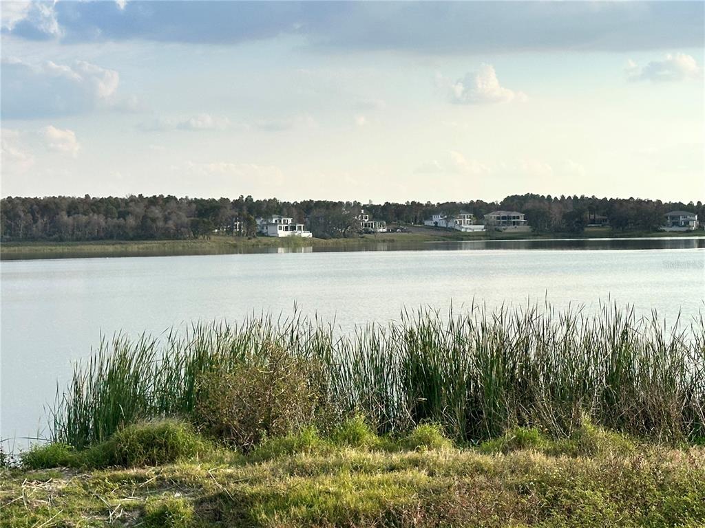 A view of a lake with tall grasses in the foreground and houses beyond — 16700 BOLSENA DRIVE, MONTVERDE, FL