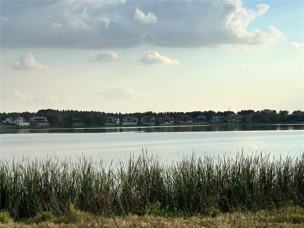 A view of a lake with tall grass in the foreground and houses in the distance — 16700 BOLSENA DRIVE, MONTVERDE, FL