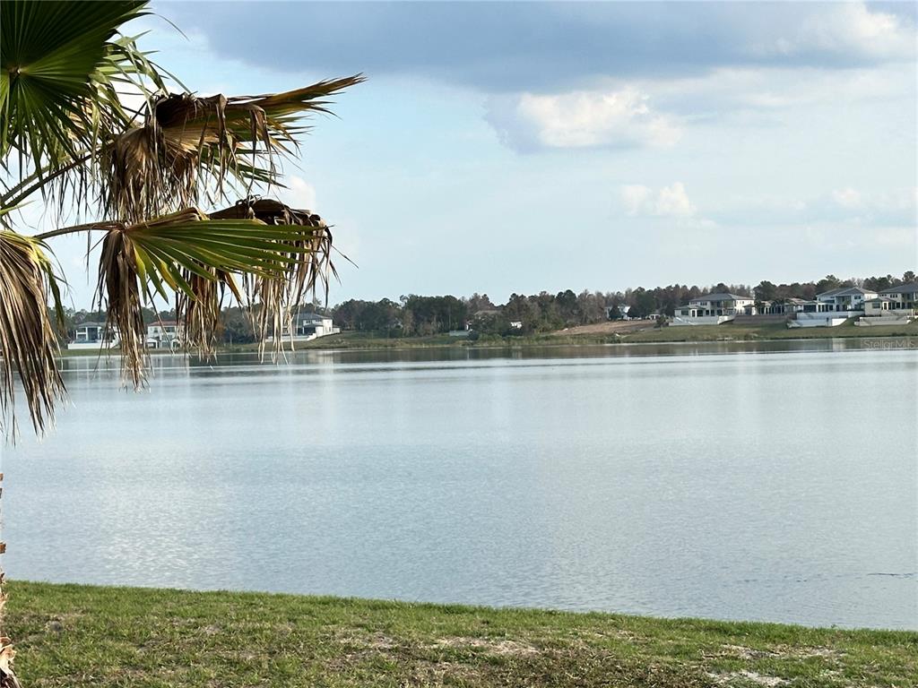 A view of a calm lake with houses on the far shore and palm fronds — 16700 BOLSENA DRIVE, MONTVERDE, FL