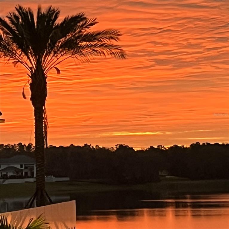A palm tree stands in the foreground against a vibrant orange sunset over a lake — 16700 BOLSENA DRIVE, MONTVERDE, FL