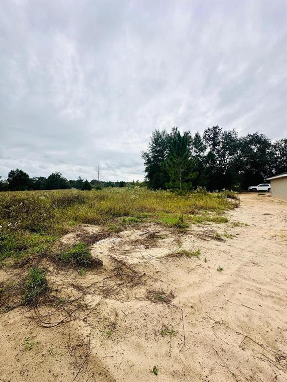 A sandy, undeveloped lot features patches of tall grass and a line of trees — 00 SW 28TH PLACE, OCALA, FL