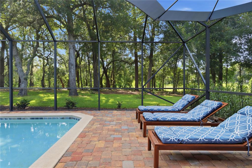 A screened-in pool patio with lounge chairs overlooking a wooded backyard — 108 SUFFOLK CT., DELAND, FL