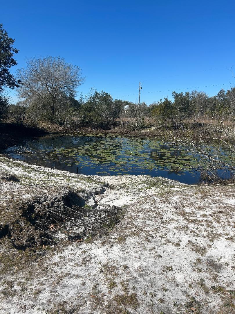 A small pond with lily pads is surrounded by sandy ground and trees under blue skies — 18034 NW 286th Street, Okeechobee FL 34972, OKEECHOBEE, FL