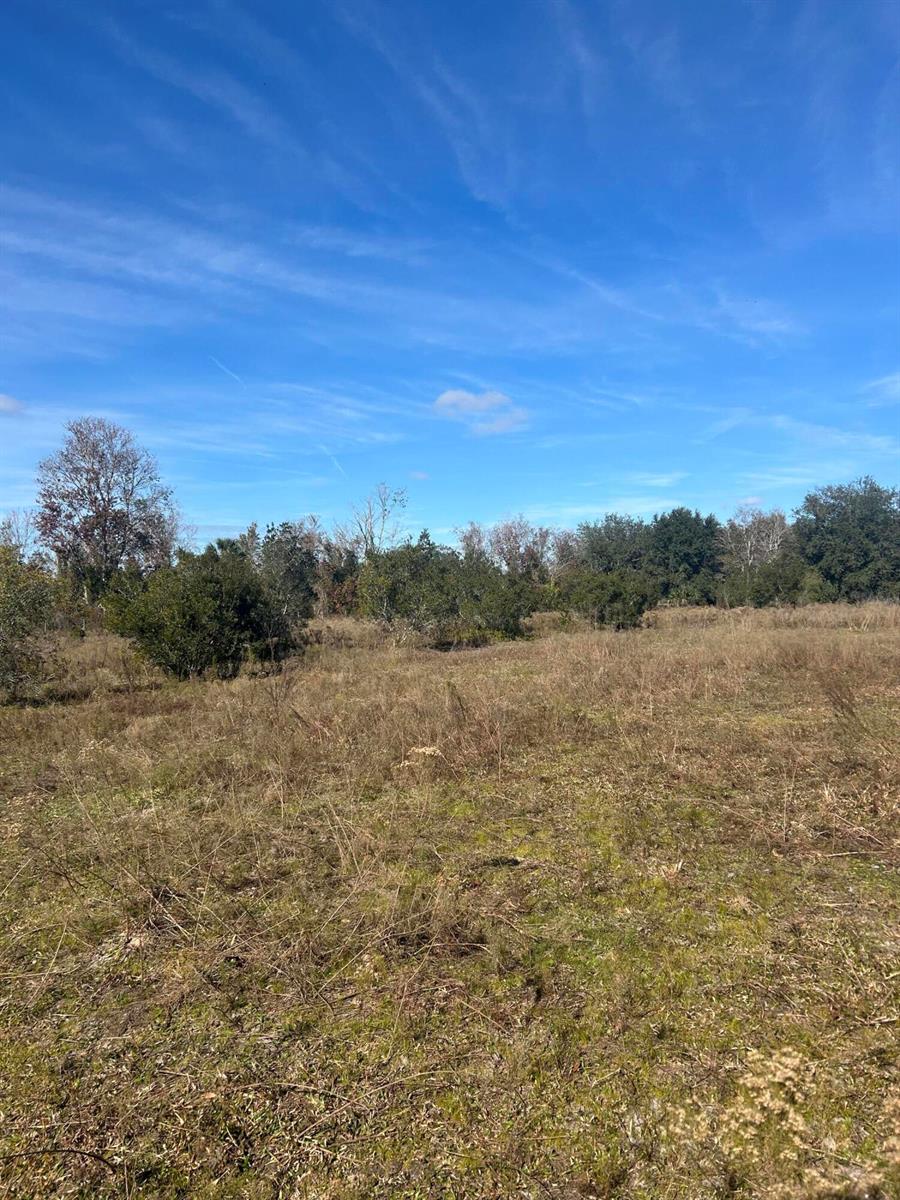 A wide, grassy field with scattered trees under a clear blue sky — 18034 NW 286th Street, Okeechobee FL 34972, OKEECHOBEE, FL