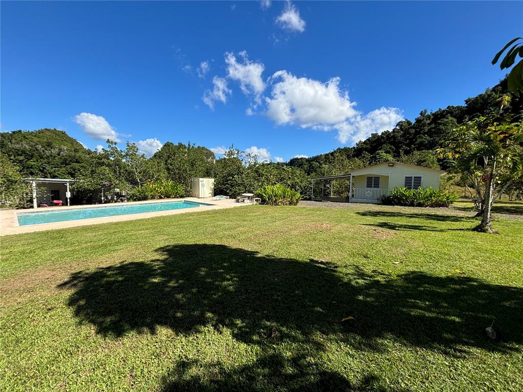 A swimming pool sits in a grassy yard next to a small house and trees — 14 PR-146 FRONTON, CIALES, PR