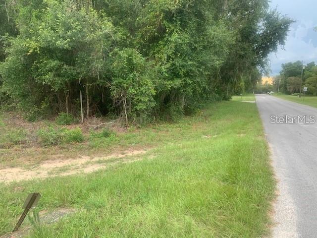 A grassy roadside area leads to a dense patch of trees and vegetation — MARYS VILLA ROAD, GROVELAND, FL