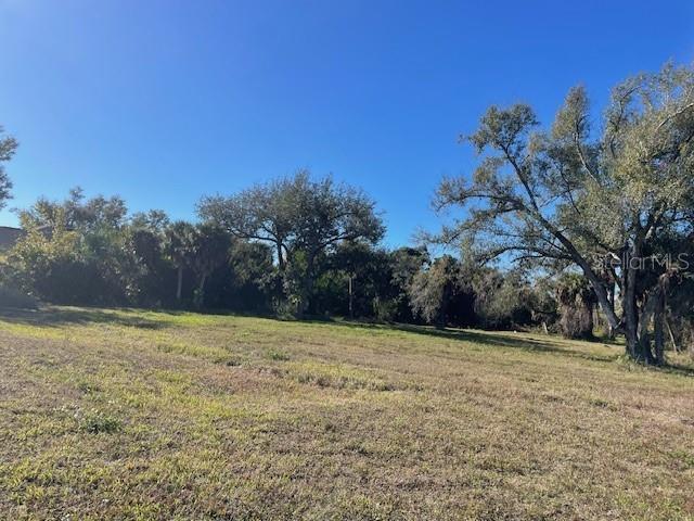 A grassy, vacant lot features scattered trees and dense vegetation under a clear blue sky — 48 & 50 TEE VIEW TERRACE, ROTONDA WEST, FL