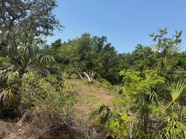 10709 E BAY ROAD, GIBSONTON, FL — photo 3 of 6