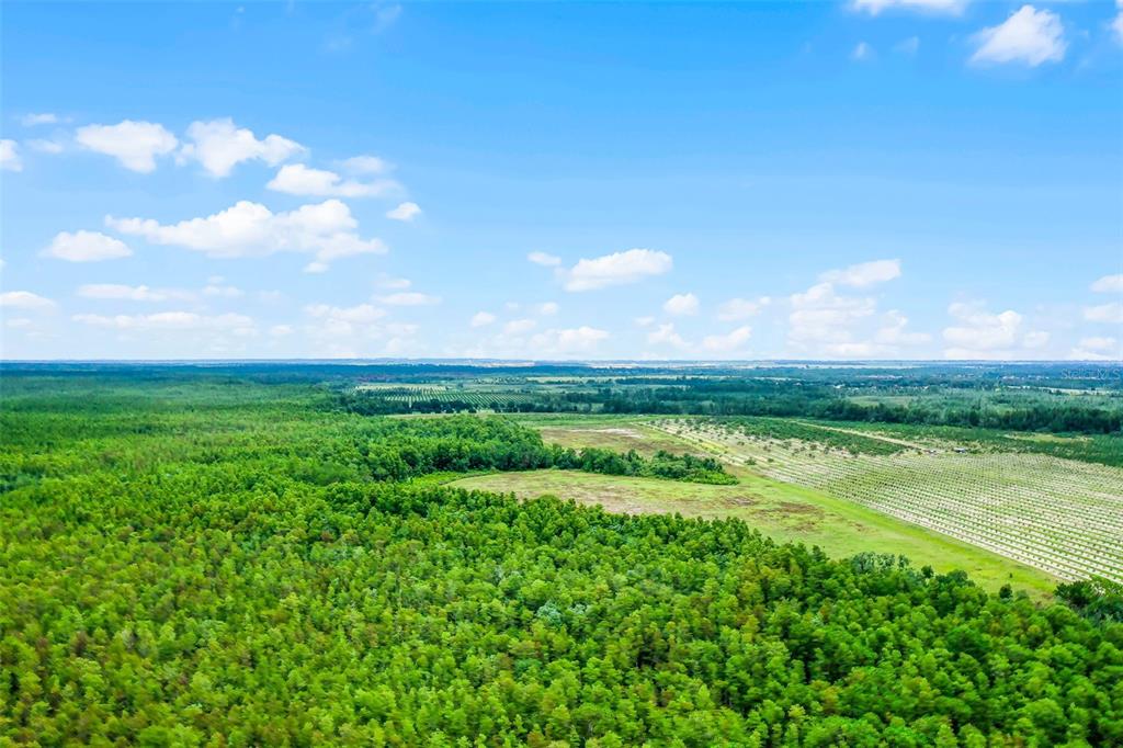 An aerial view shows a large expanse of green forest bordering a cultivated agricultural field — S BOGGY MARSH ROAD, CLERMONT, FL