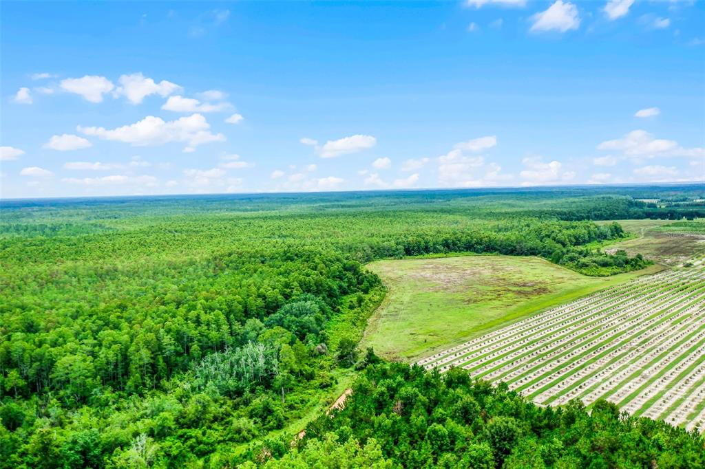 An aerial view shows a large expanse of forest bordering an open field and farmland — S BOGGY MARSH ROAD, CLERMONT, FL
