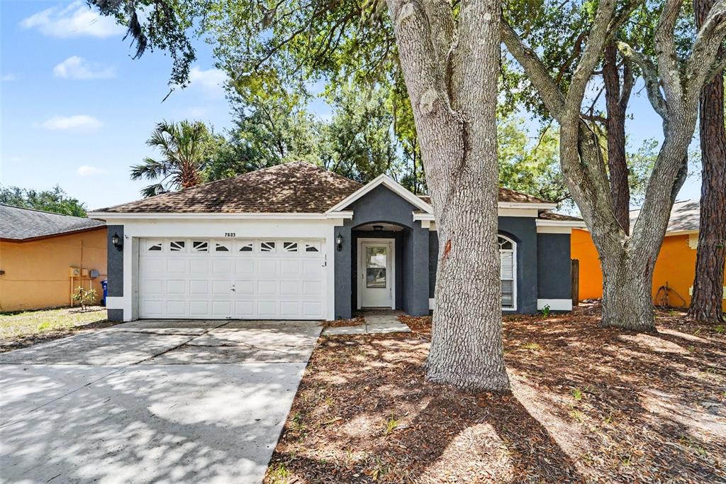 A single-story house with a white garage door, dark gray exterior, and large shade trees — 7603 SAVANNAH LANE, TAMPA, FL