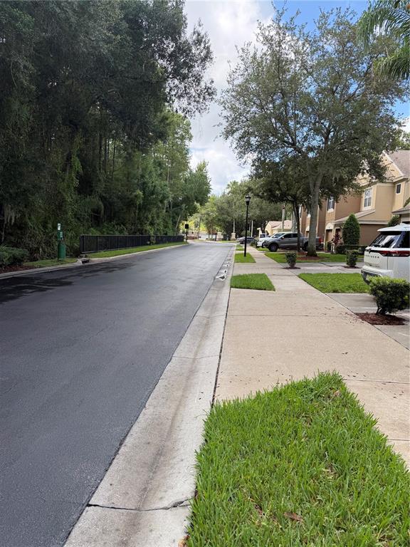 A paved street runs alongside a sidewalk, green lawns, and residential buildings under trees — 8428 SANDY BEACH STREET, TAMPA, FL