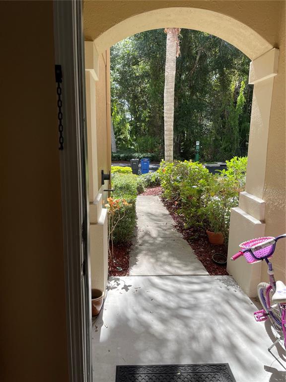 A view from a doorway looking out onto a concrete walkway, landscaping, and a bicycle — 8428 SANDY BEACH STREET, TAMPA, FL