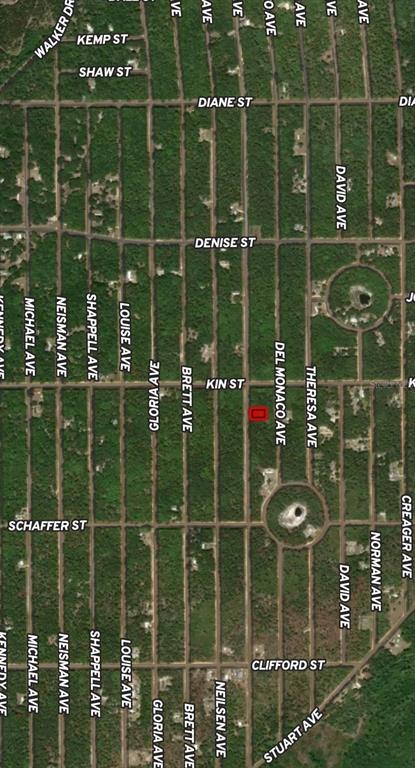 This is a satellite map showing a rectangular plot of land highlighted in red — LOT 4 USINA AVENUE, INTERLACHEN, FL