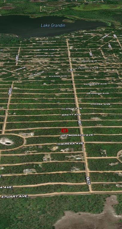 An aerial map view shows a red-outlined lot located near Lake Grandin — LOT 4 USINA AVENUE, INTERLACHEN, FL