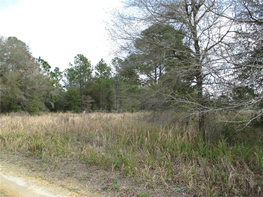 A dirt road borders a grassy field with trees in the background — 0 SW 24TH PLACE, OCALA, FL