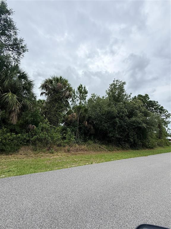 A paved road runs alongside a plot of land densely covered with trees and shrubs — 12192 CHAMBERLAIN BOULEVARD, PORT CHARLOTTE, FL