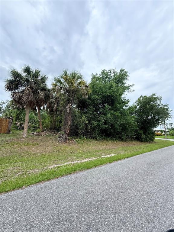 A grassy, undeveloped lot features several palm trees and dense foliage beside a paved road — 12192 CHAMBERLAIN BOULEVARD, PORT CHARLOTTE, FL