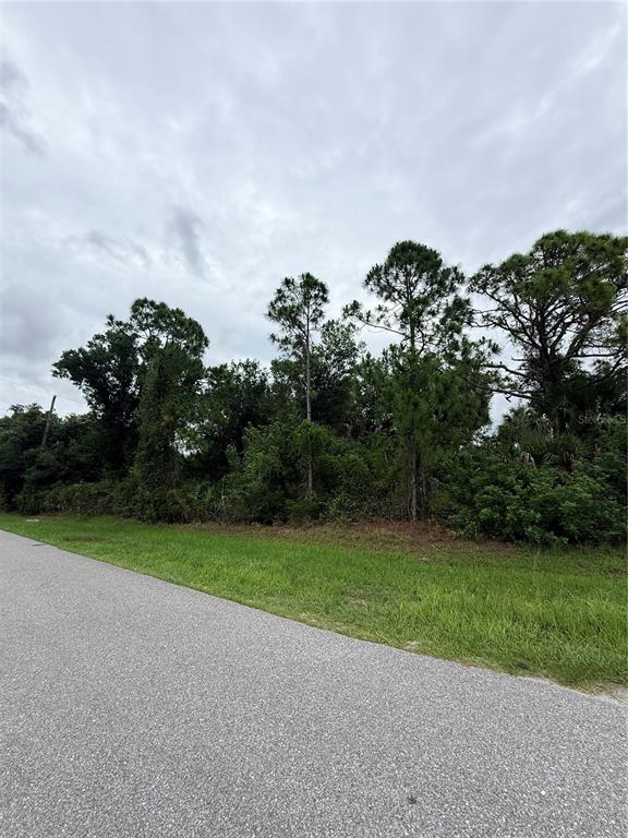 A paved road runs alongside a wooded lot with tall pine trees and dense vegetation — 12192 CHAMBERLAIN BOULEVARD, PORT CHARLOTTE, FL