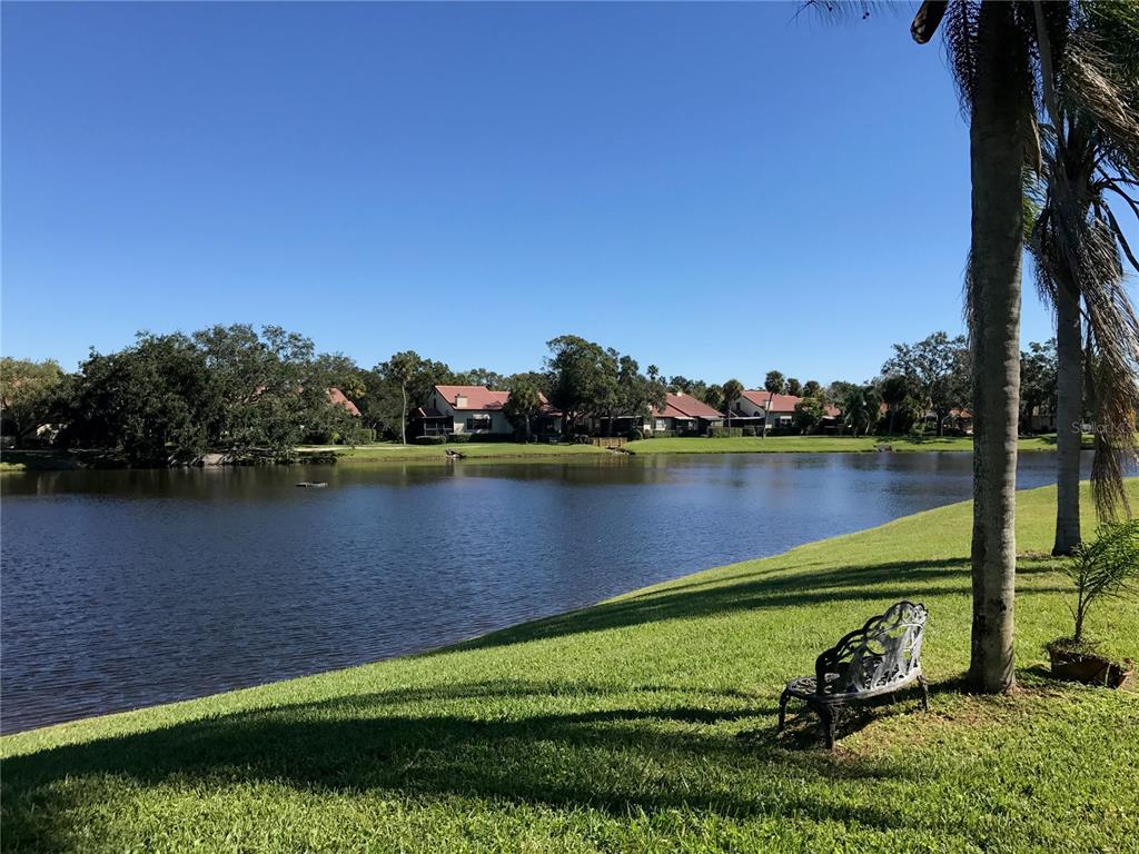 A metal bench sits on a grassy lawn overlooking a lake with houses in the background — 850 S TAMIAMI TRAIL UNIT 333, SARASOTA, FL