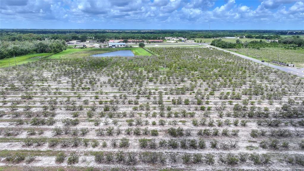 An aerial view shows a large, flat agricultural field with rows of small trees — U S HIGHWAY 27, DUNDEE, FL