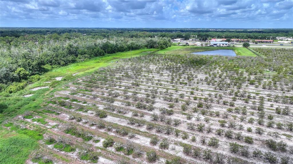 An aerial view shows a large orchard with rows of trees next to a pond — U S HIGHWAY 27, DUNDEE, FL