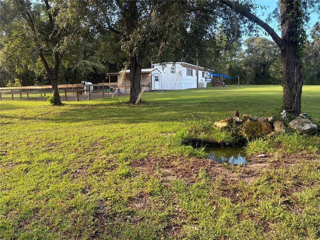 A white mobile home sits on a grassy lot with a small pond and horse — 6250 SE 150TH AVENUE, MORRISTON, FL