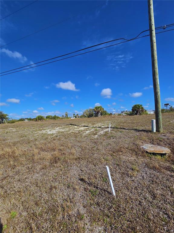 A vacant, grassy lot features a utility pole and several white survey markers — 1029 NW 18TH STREET, CAPE CORAL, FL