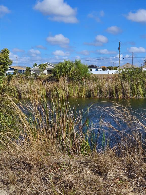 A view of a small pond bordered by tall grasses with residential houses in the background — 1029 NW 18TH STREET, CAPE CORAL, FL