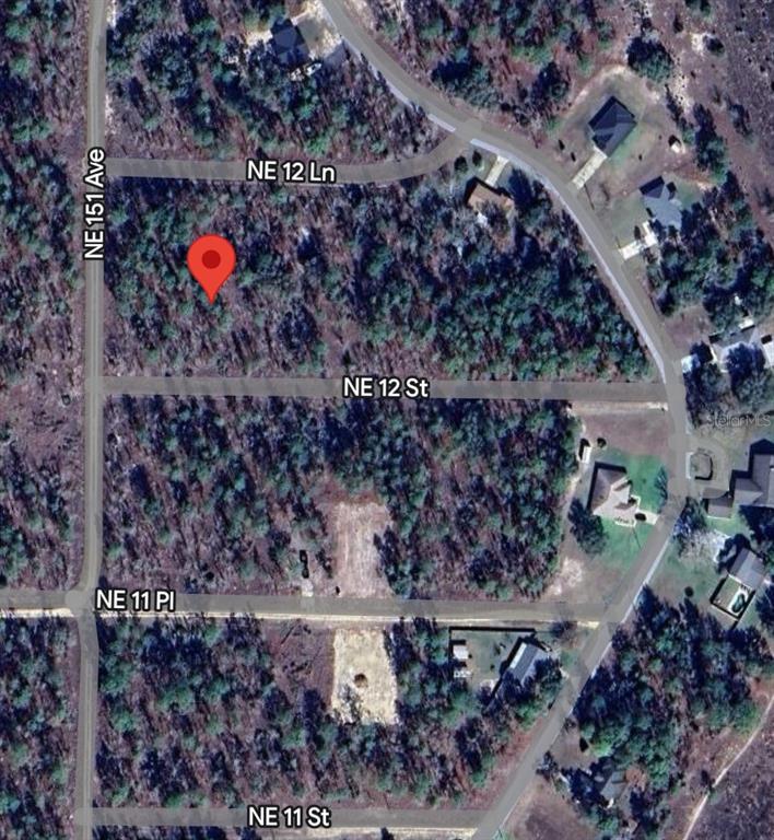 This is an aerial map view of a wooded residential lot with a red pin — TBD NE 12 STREET, WILLISTON, FL