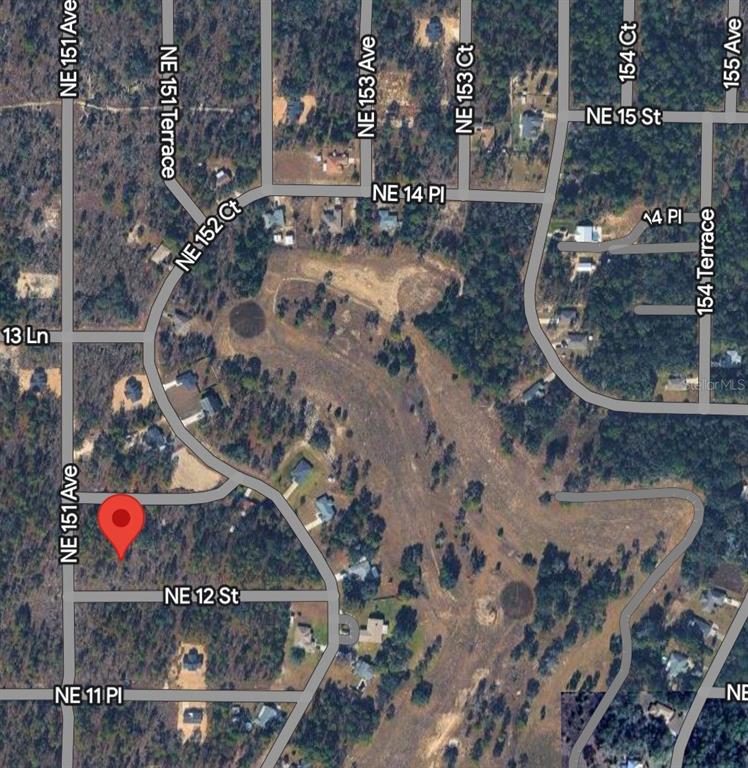 This is an aerial map showing residential streets and wooded lots with a red location marker — TBD NE 12 STREET, WILLISTON, FL